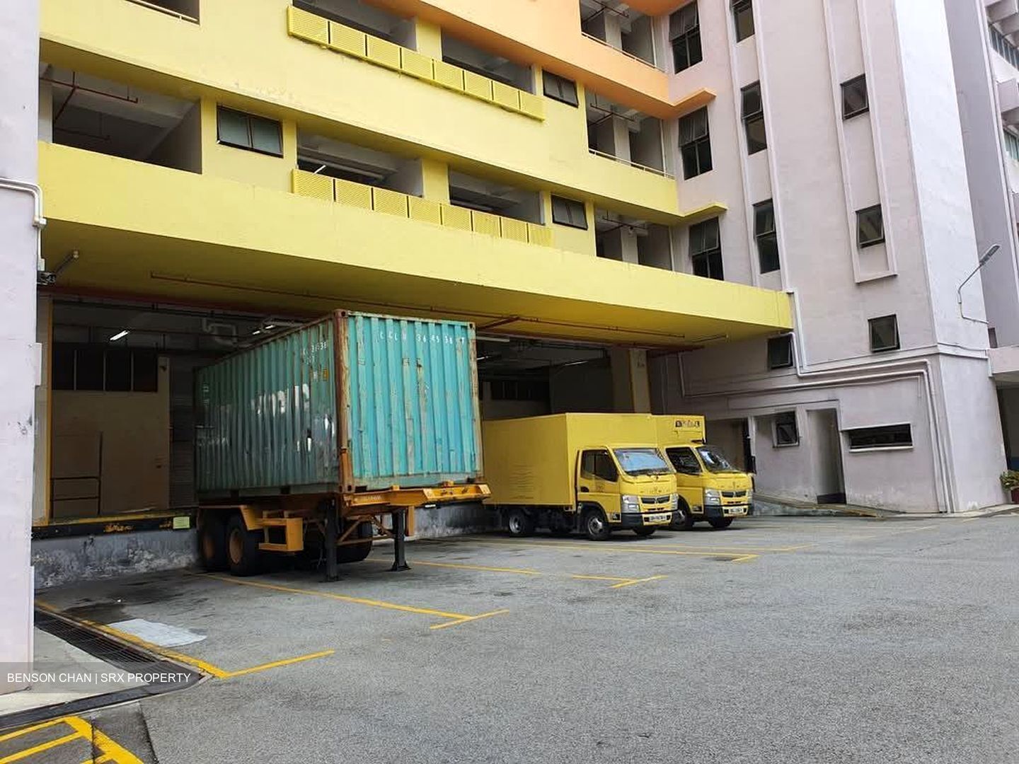Perfect One (D13), Warehouse #554776431